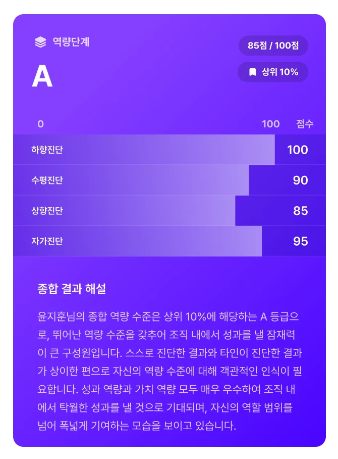 역량 단계 종합 결과 해설 이미지