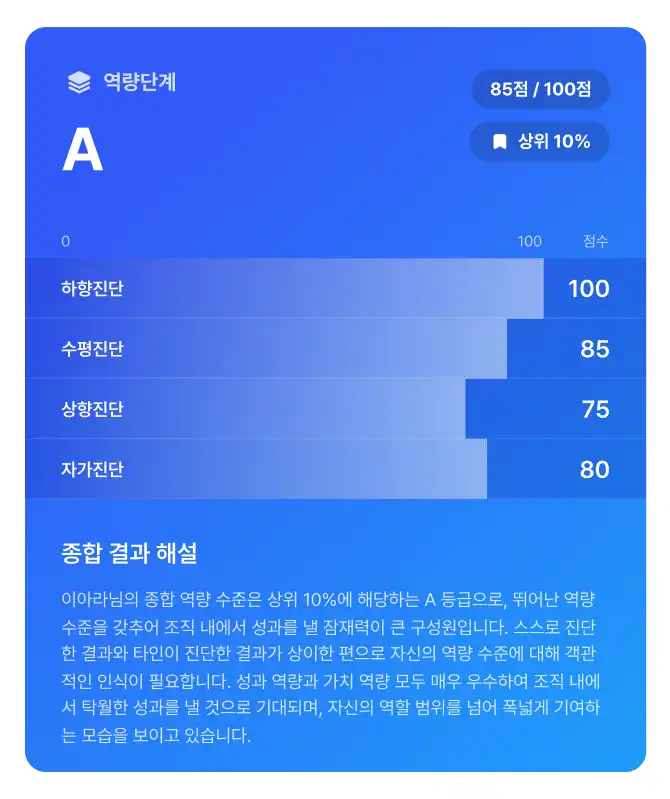 역량 단계 종합 결과 해설 이미지